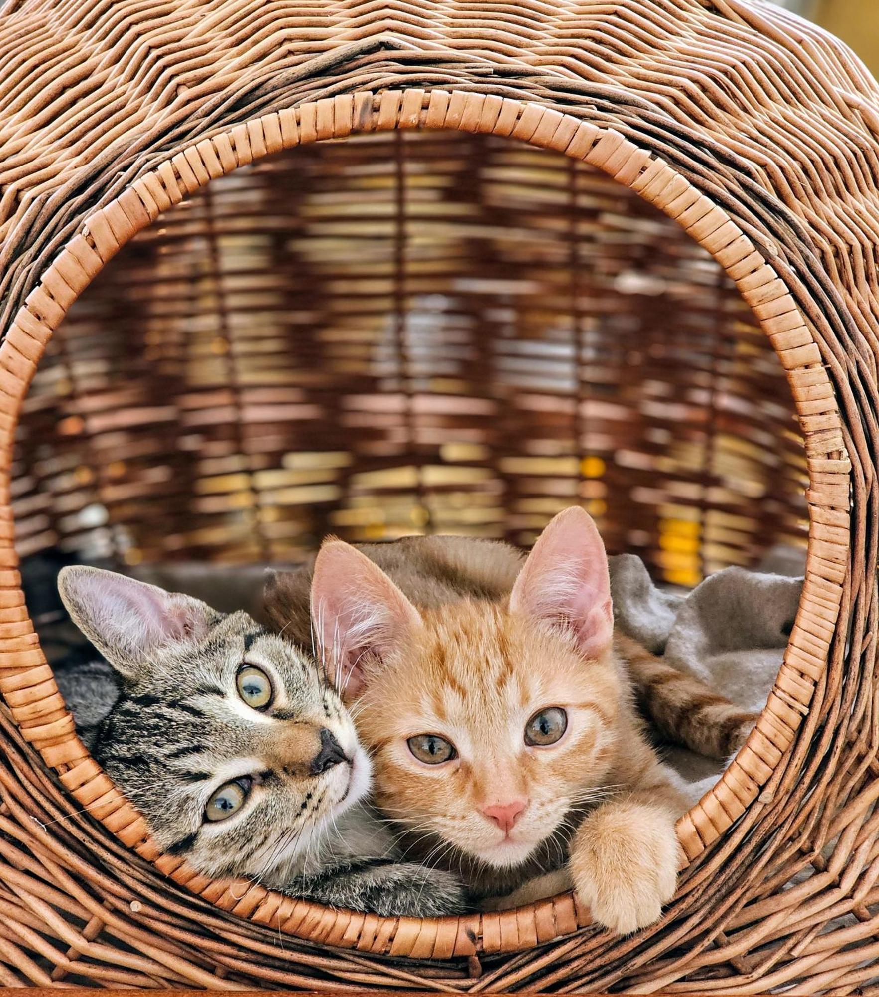 Trzy Morza - Apartamenty Pod Gora "Trojmorski Wierch" Sudety Jodlow  ภายนอก รูปภาพ
